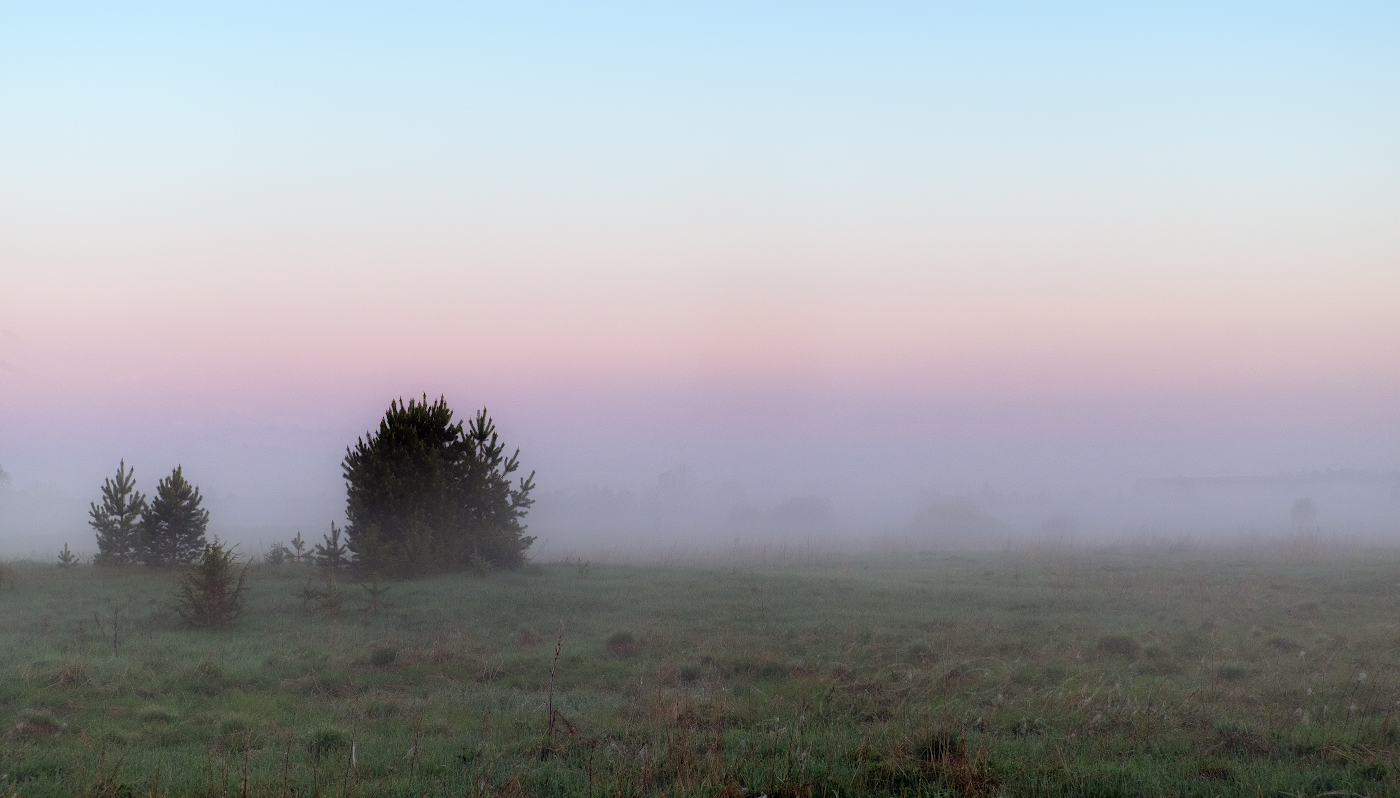 Всё в цветном тумане