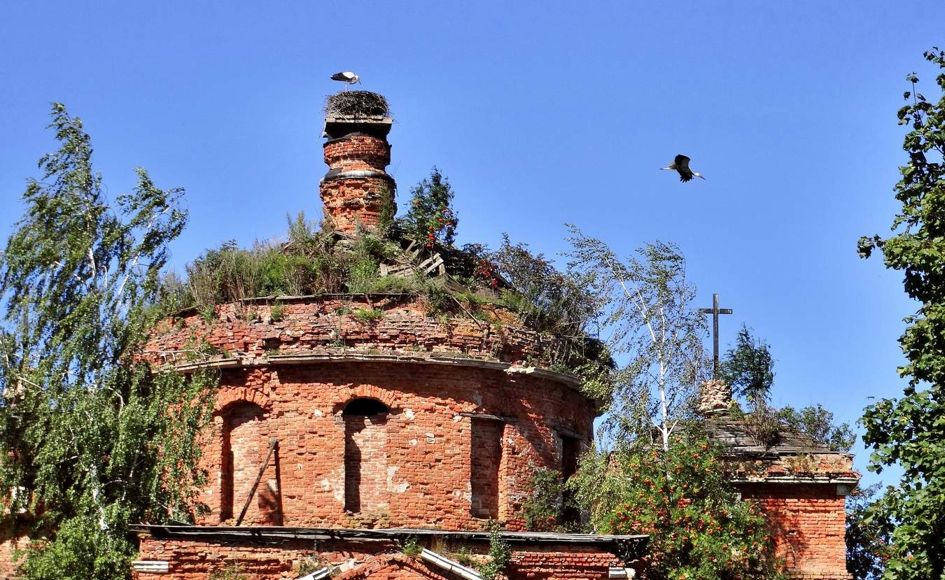 Аисты в селе Воинской доблести