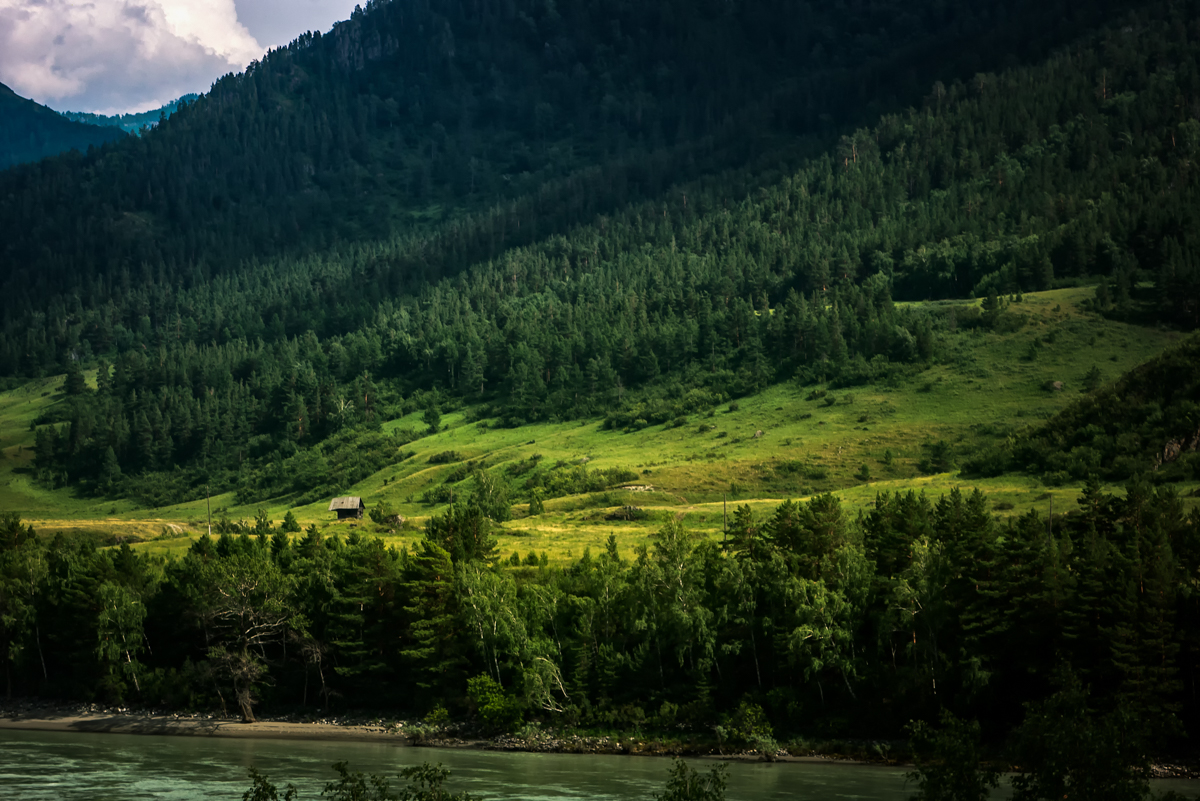 Домик в лесу