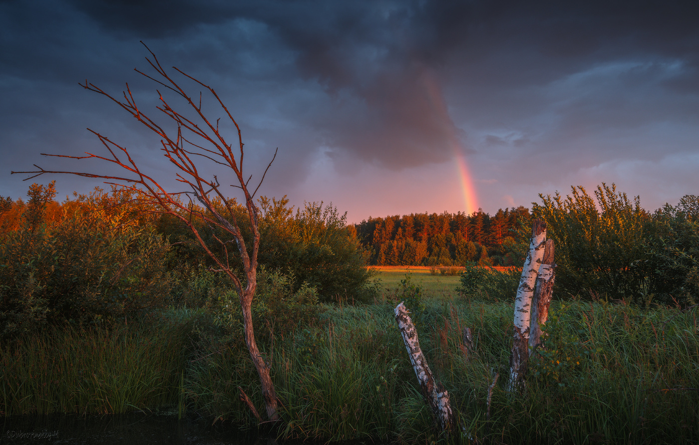 Сказка летнего вечера)