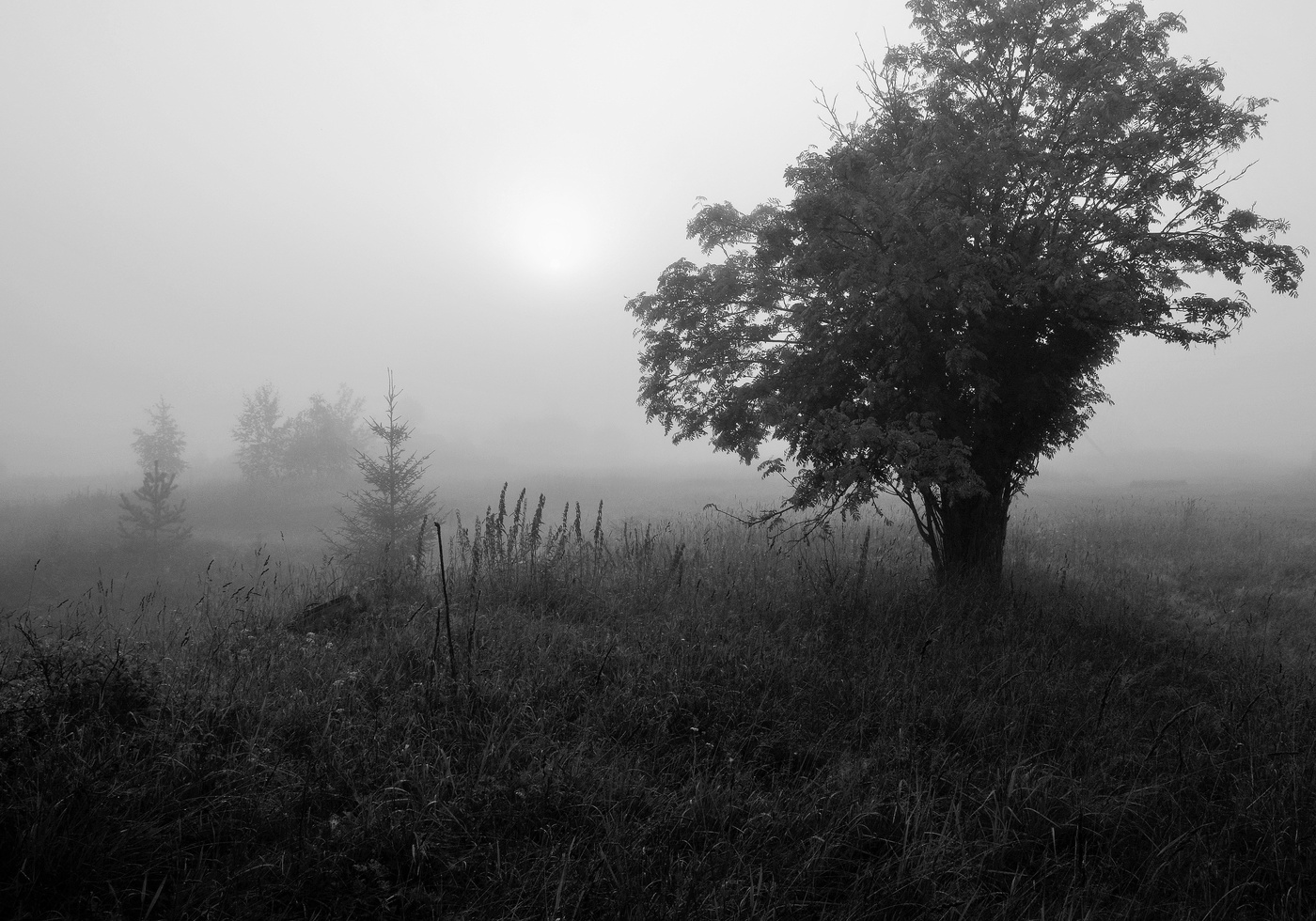 "И туманное утро настало ..."