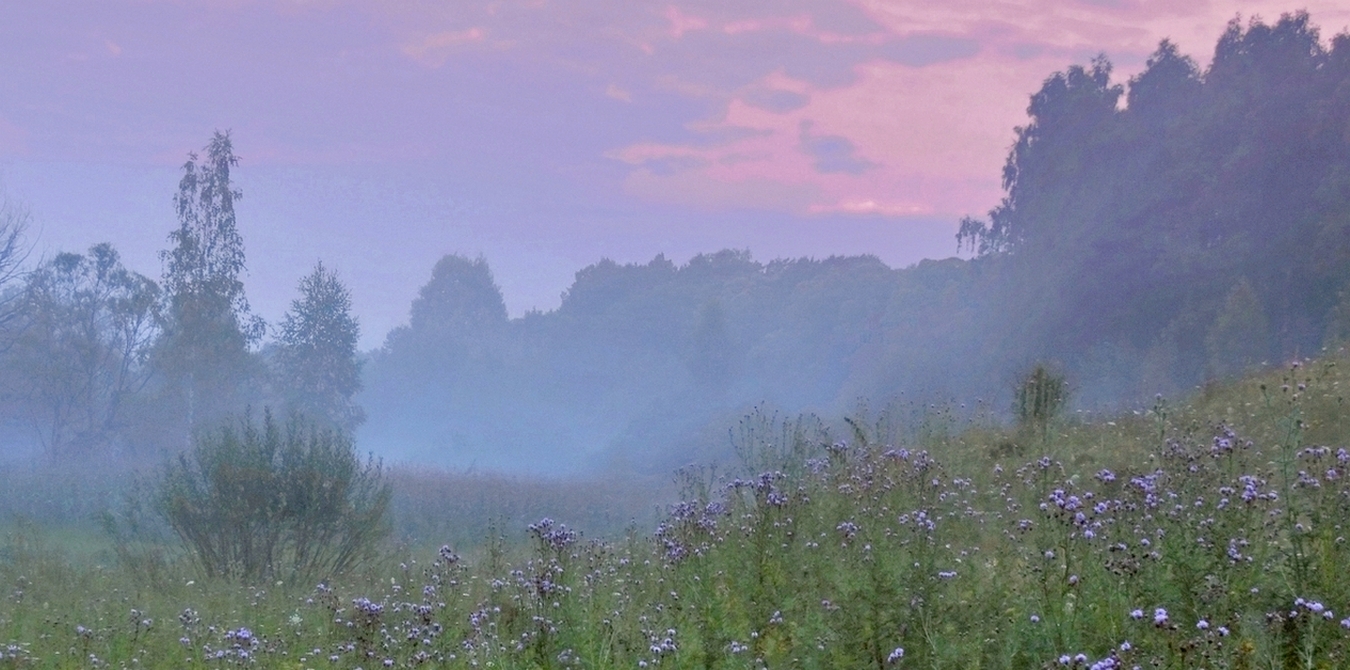 Туманность лета