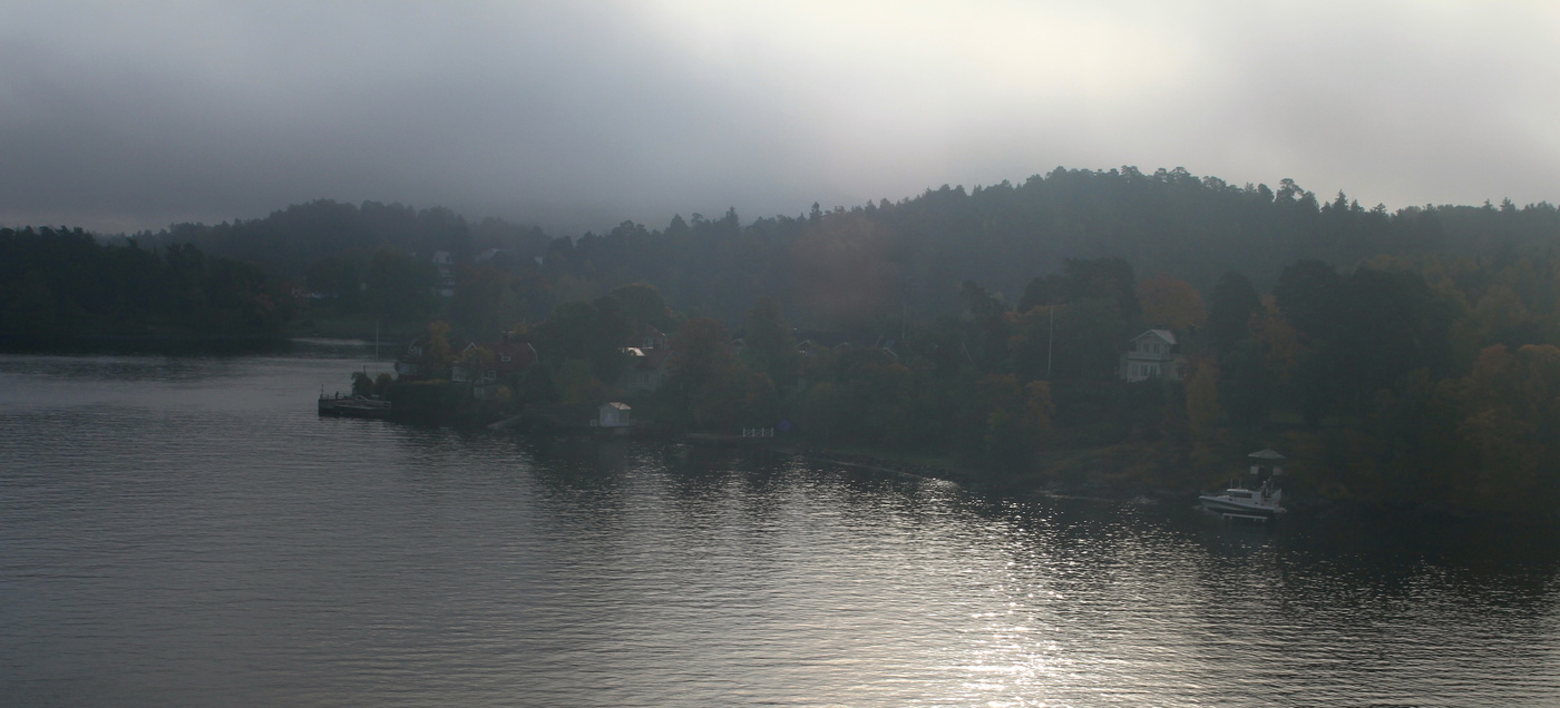 Туманное утро