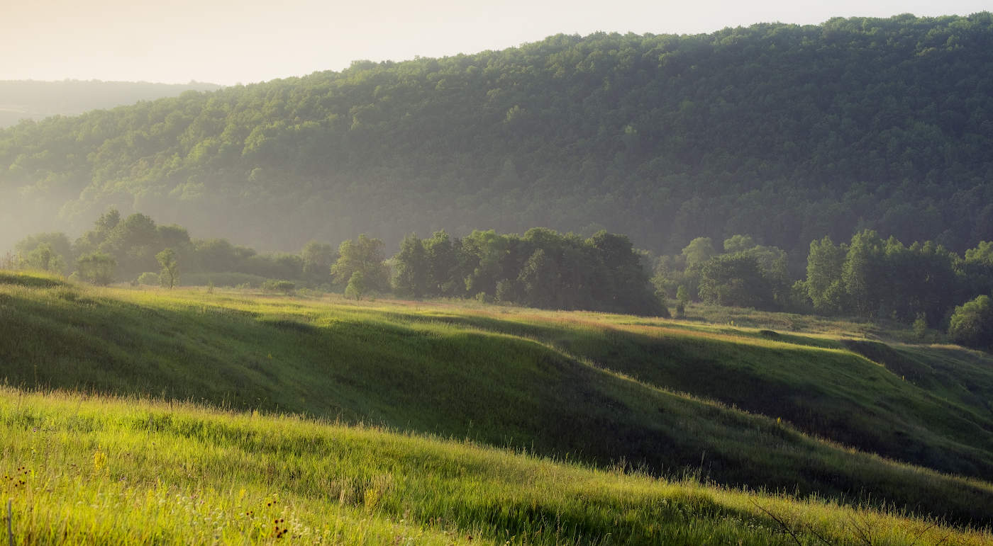Солнечный свет раннего утра