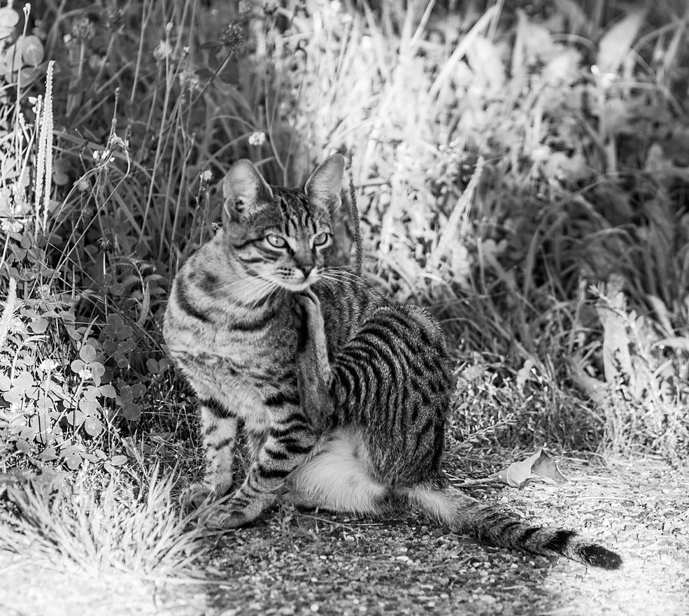 задумчивая пятница