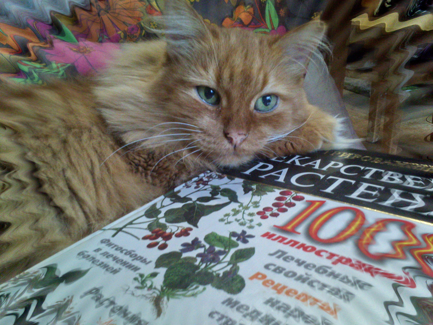 Задумчивая пятница