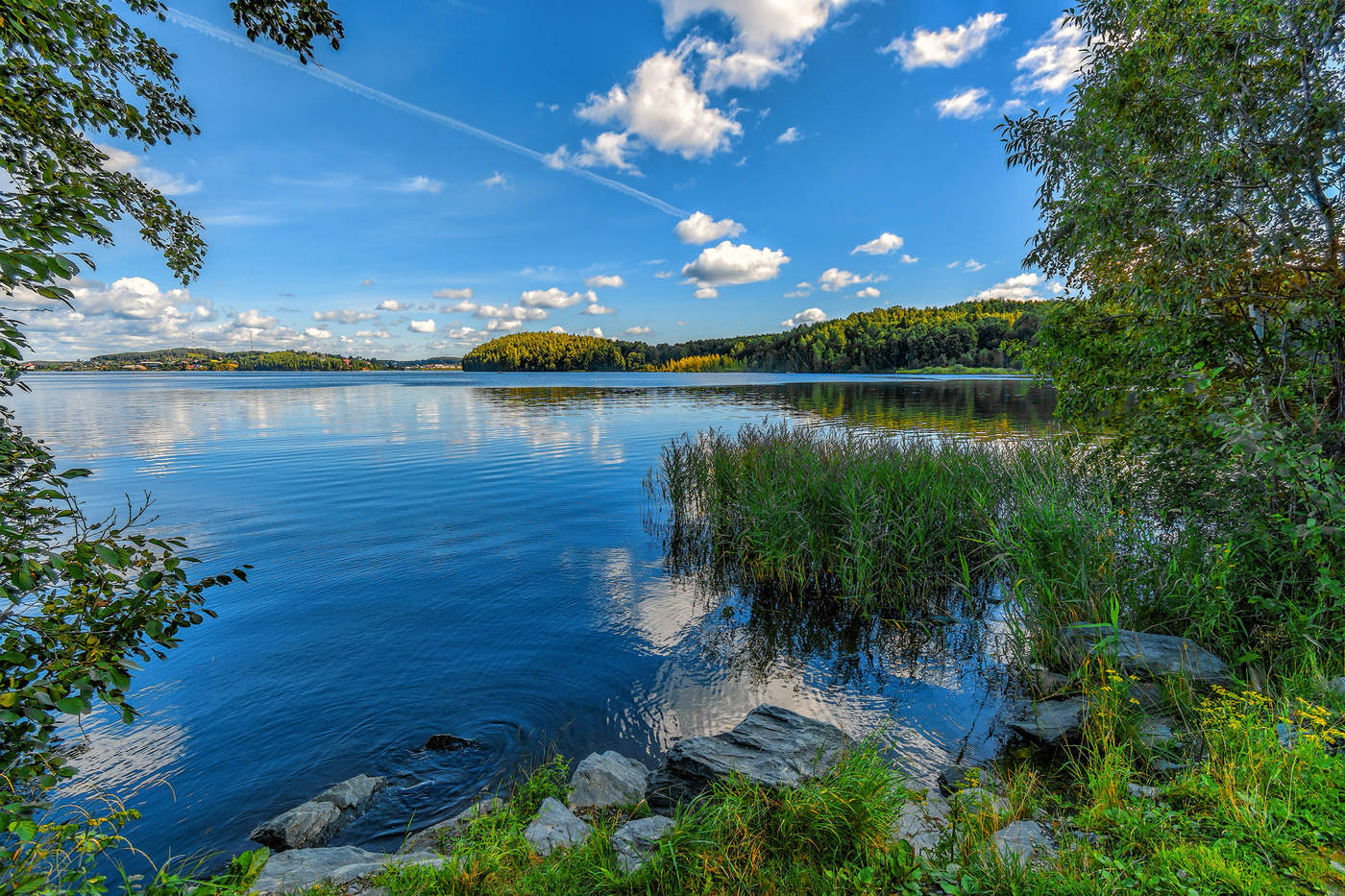 Круги на воде