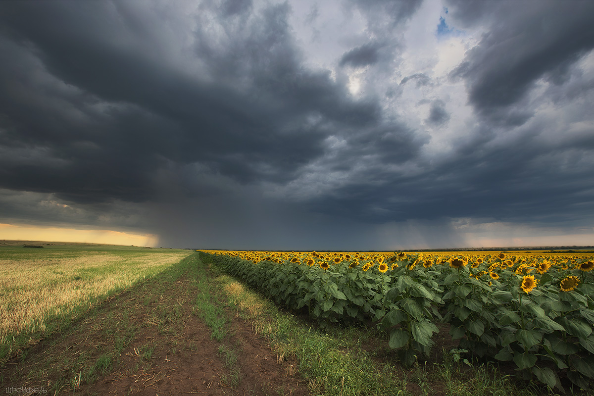 Далекая гроза