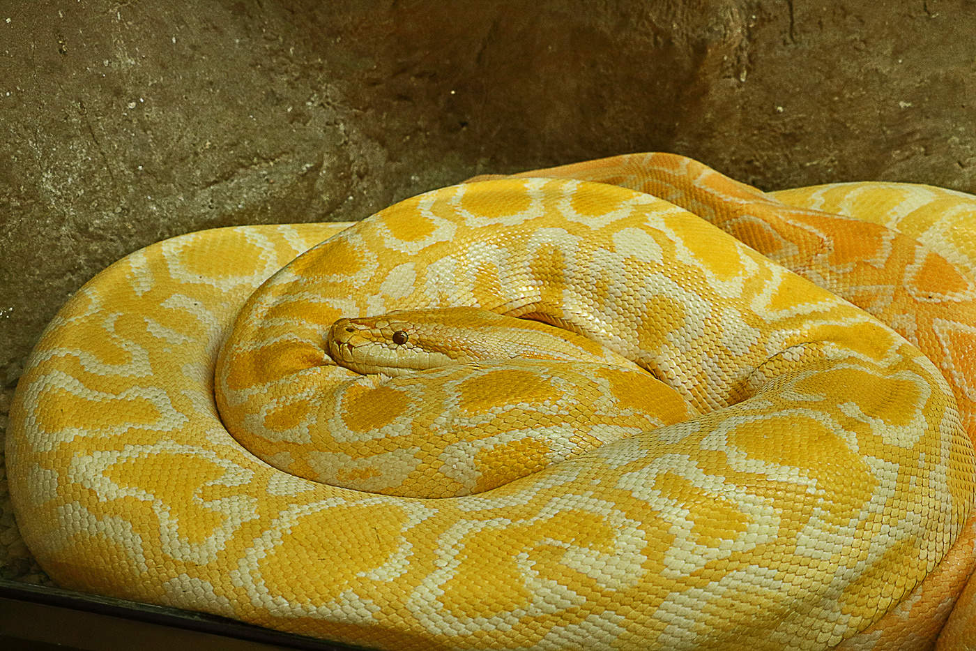 Задумчивая пятница