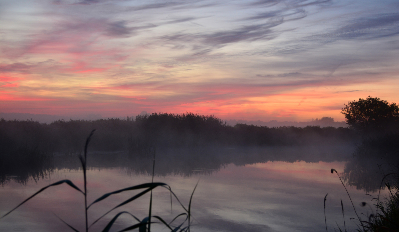 Туманный пейзаж