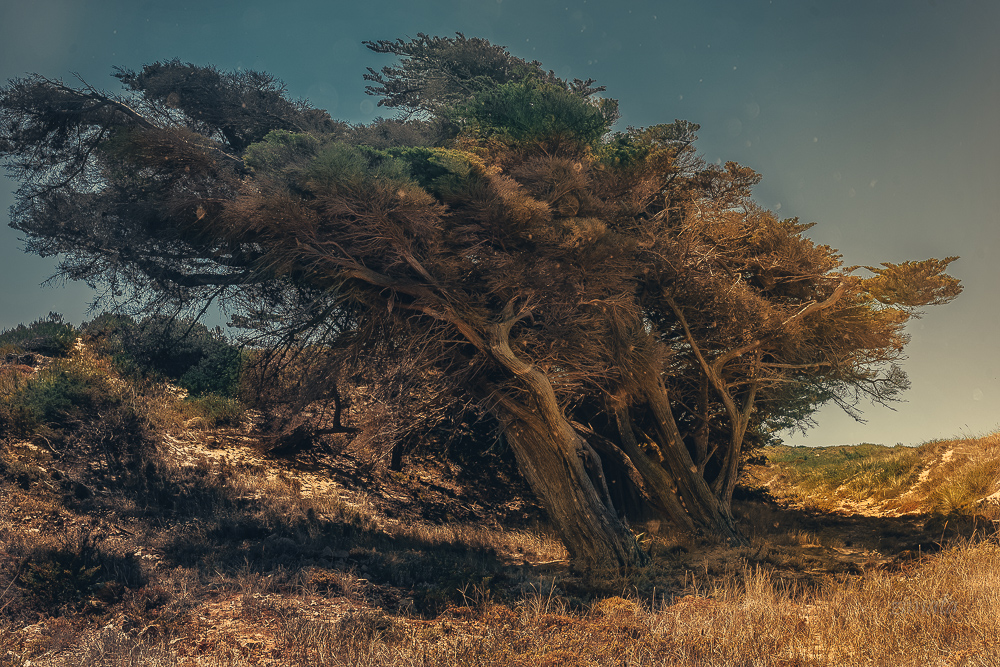 с севера на юг