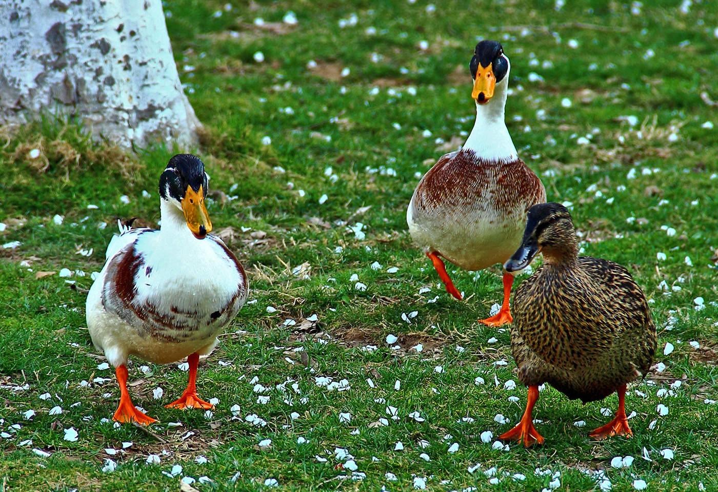 Сообразим на троих?..