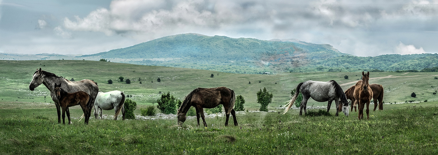 Высокогорье Крыма