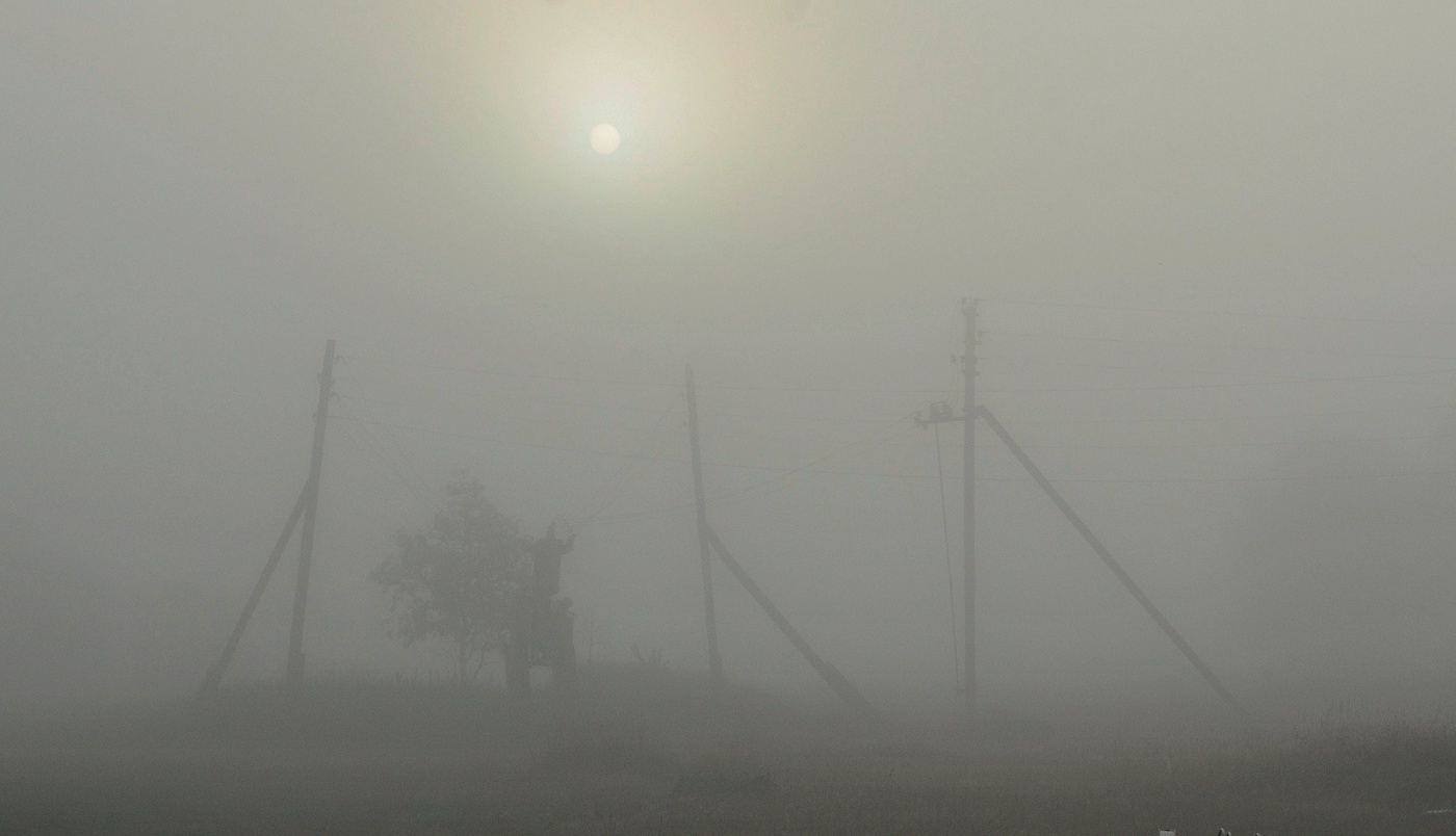 "Бледное, чахлое утро туманное ..."