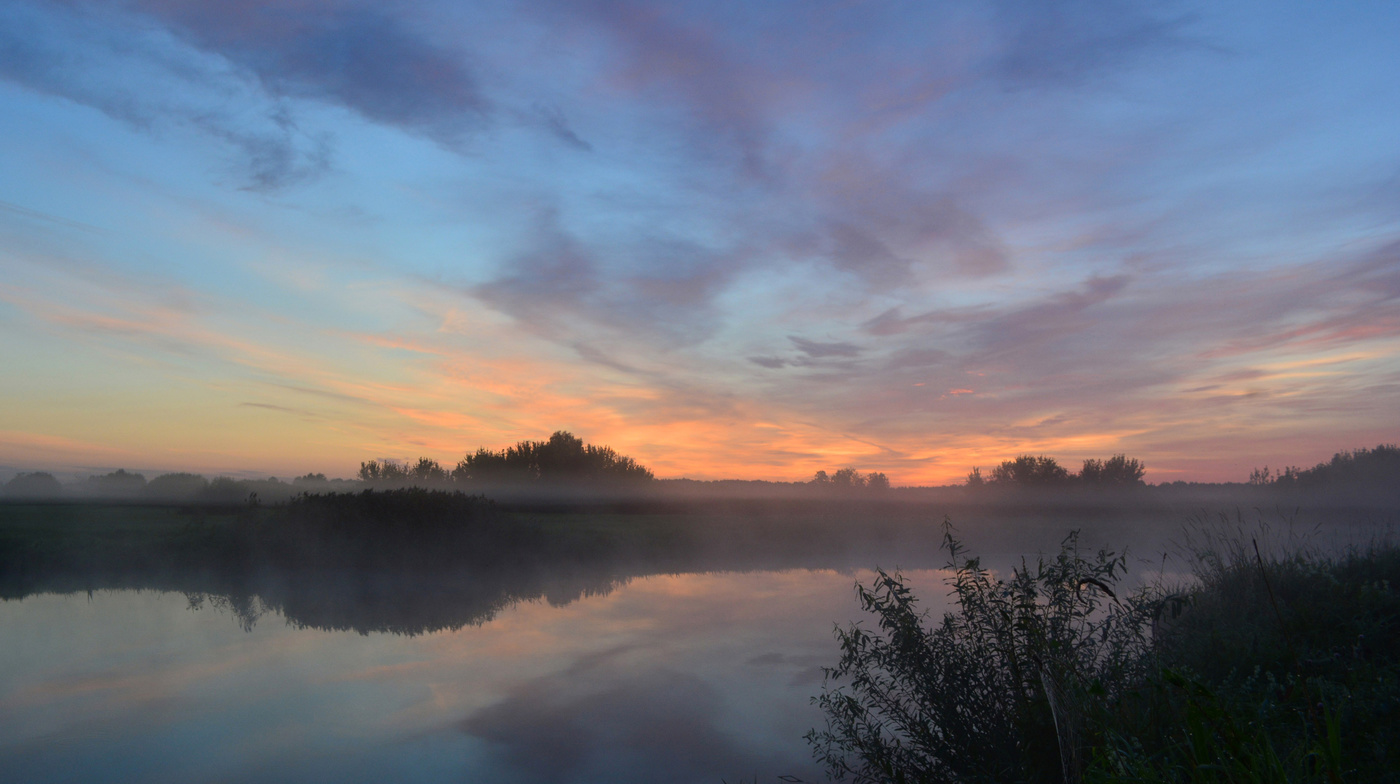 Летнее пробуждение