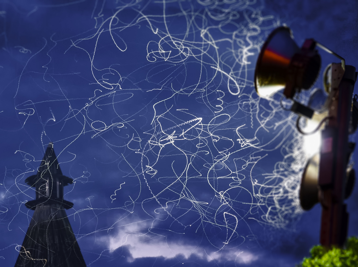 самбо белого мотылька