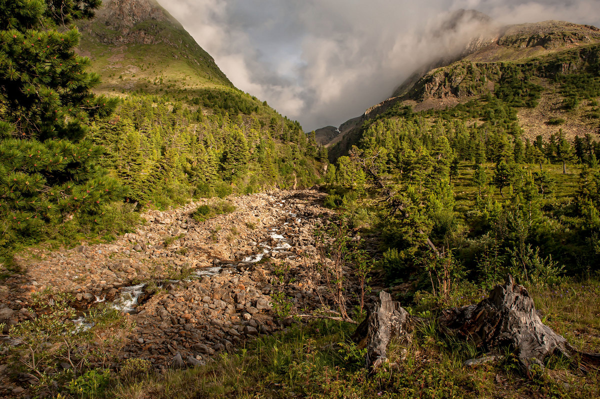 Вечер у ручья...