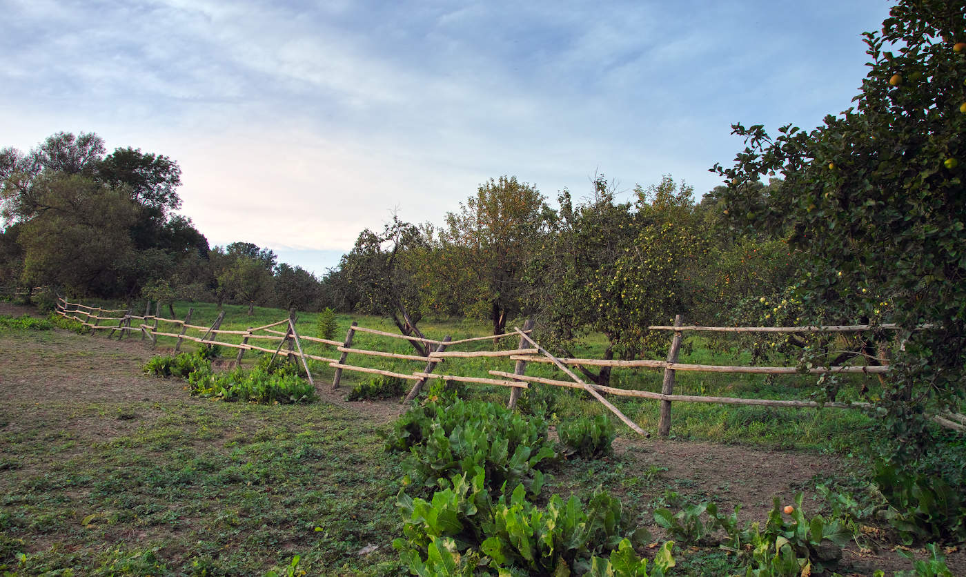 У Яблоневого сада