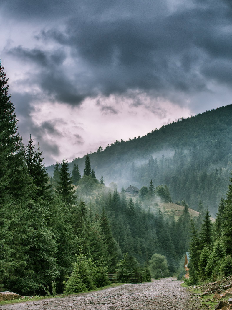 Дождь по дороге в Синевир