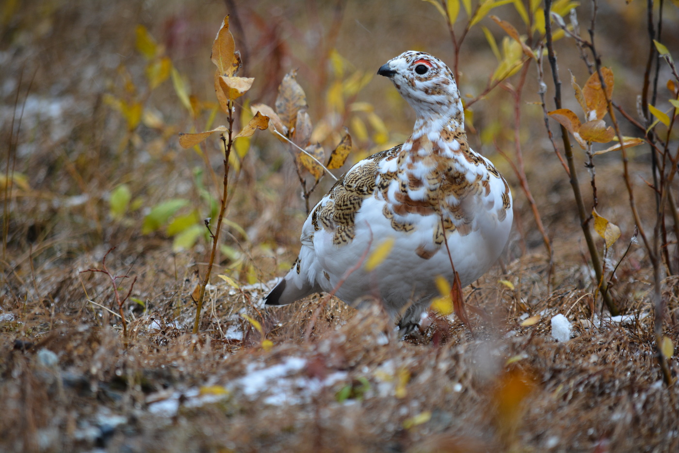 Осень время перемен.