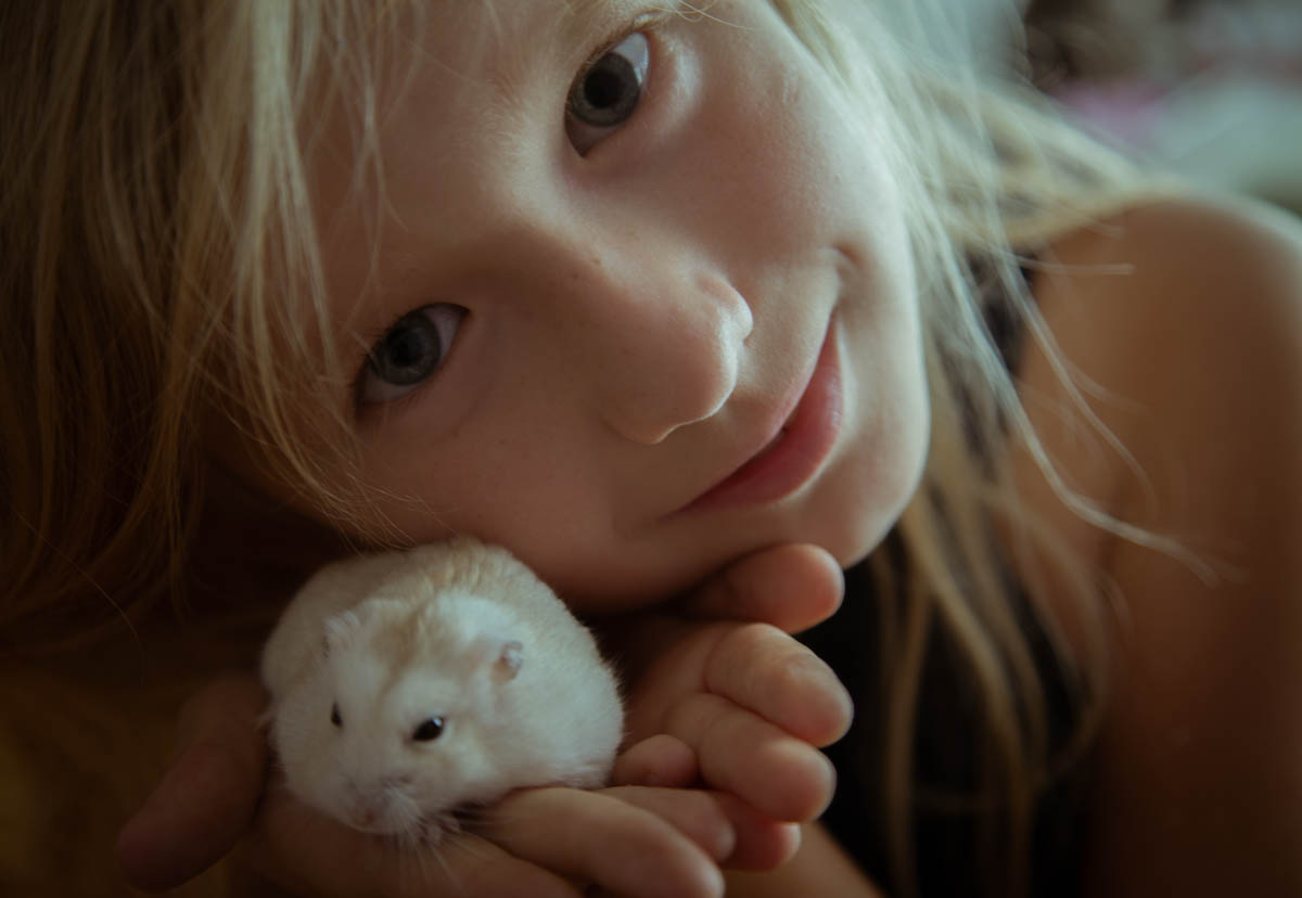 А у меня хомячок!