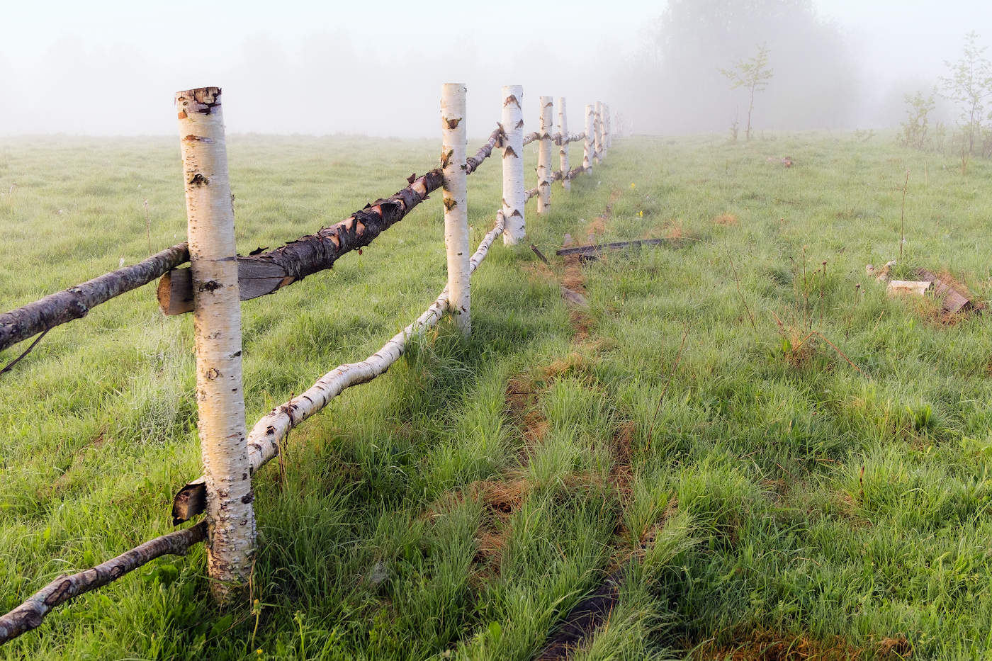 Уходящий в туман