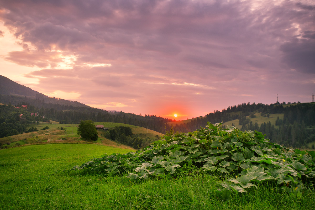Про юные Halloween'ы на фоне подобовецкого заката
