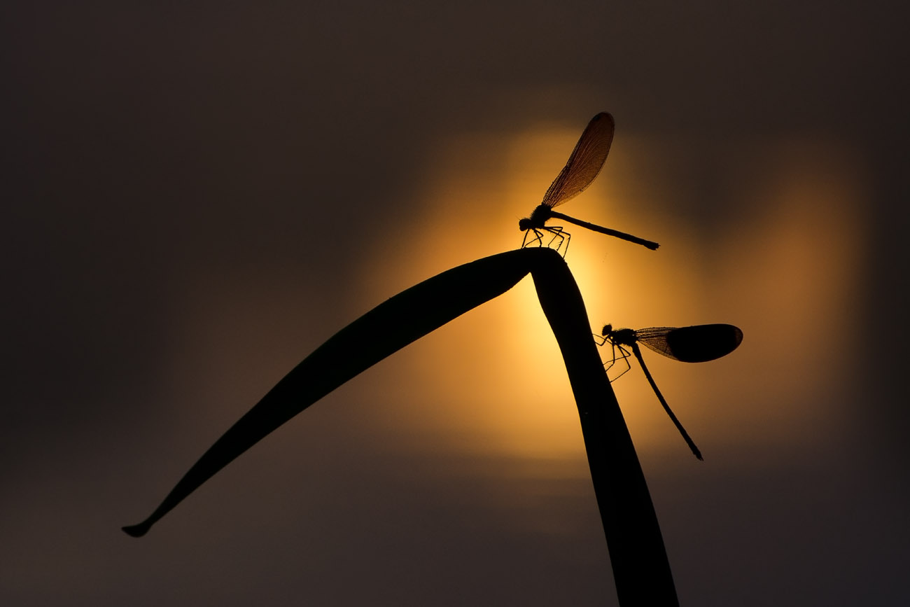 На краю света