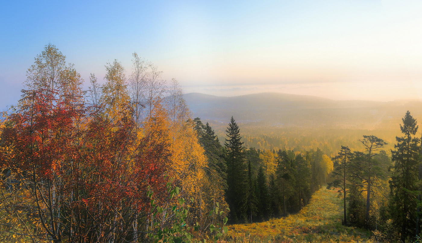 Утро туманное