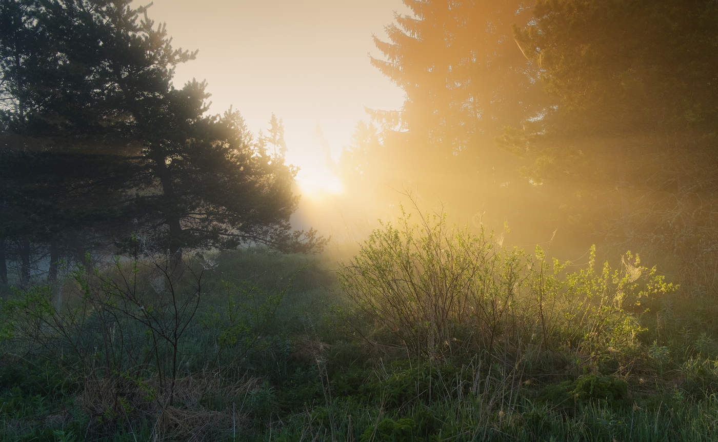 Солнечный взрыв