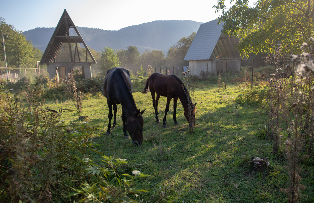 В труднодоступной деревне
