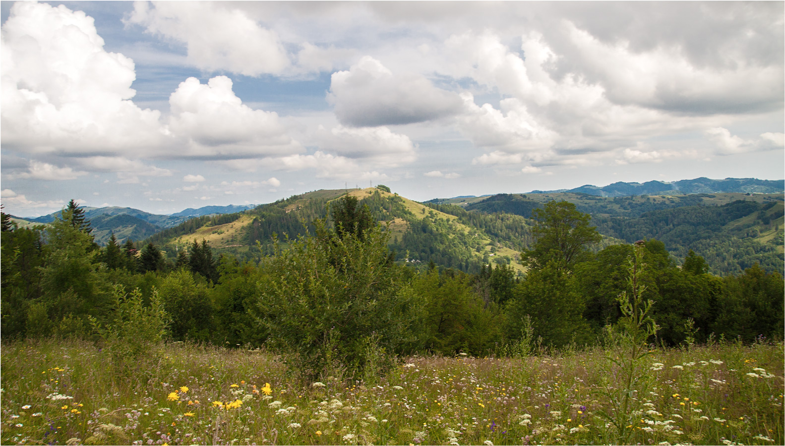 Карпатские сюжеты