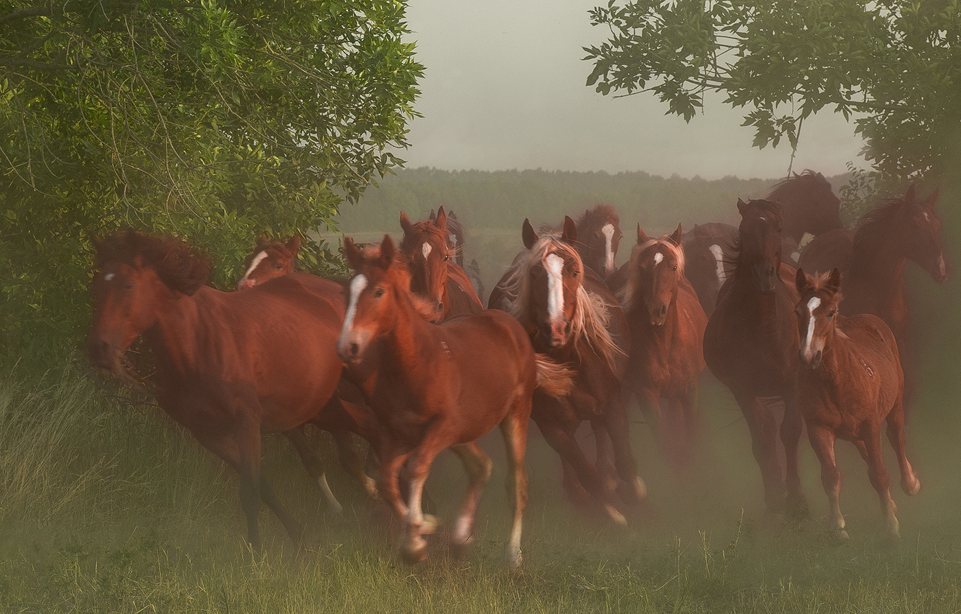 Мечты детства