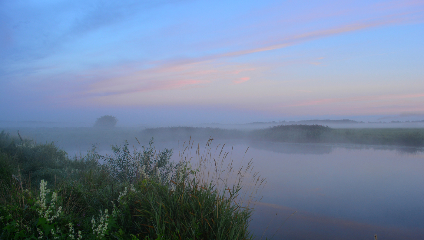 Летние туманы