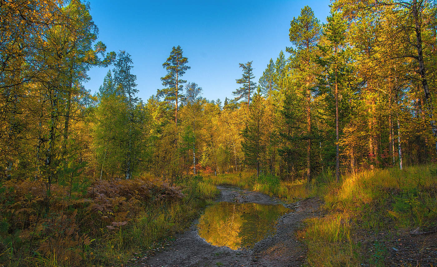 Осеннее зеркало