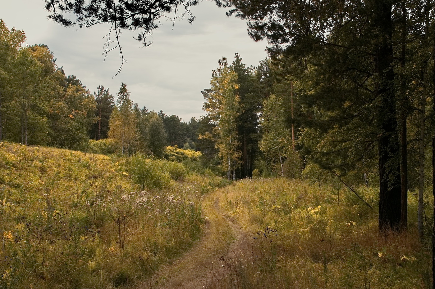 На исходе лета