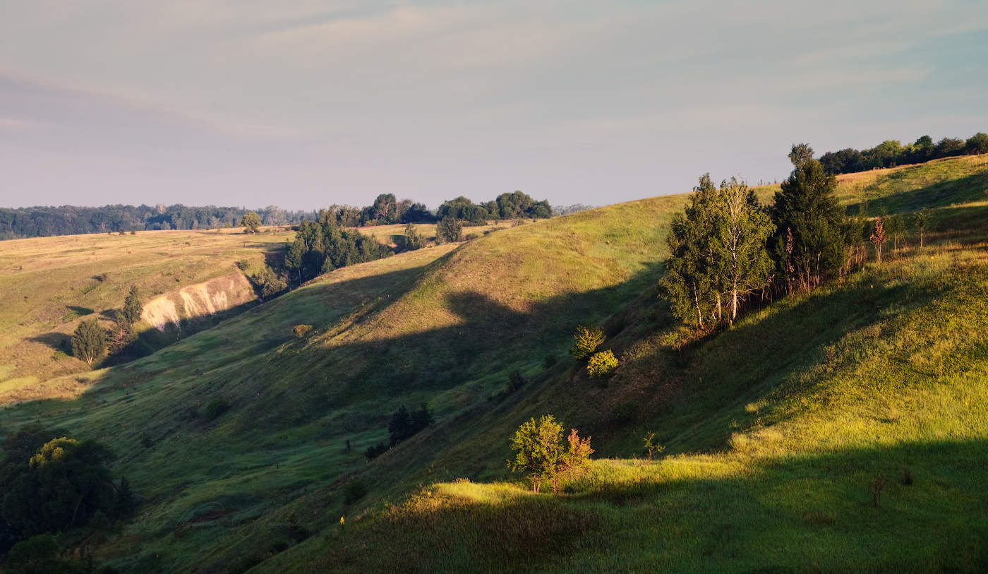 Бархат холмов на рассвете