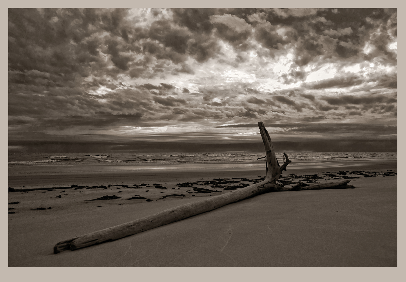 Ветер не в голове