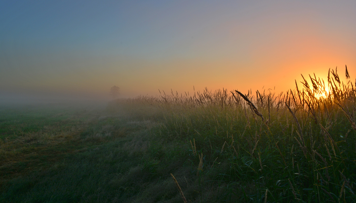 Солнечное утро
