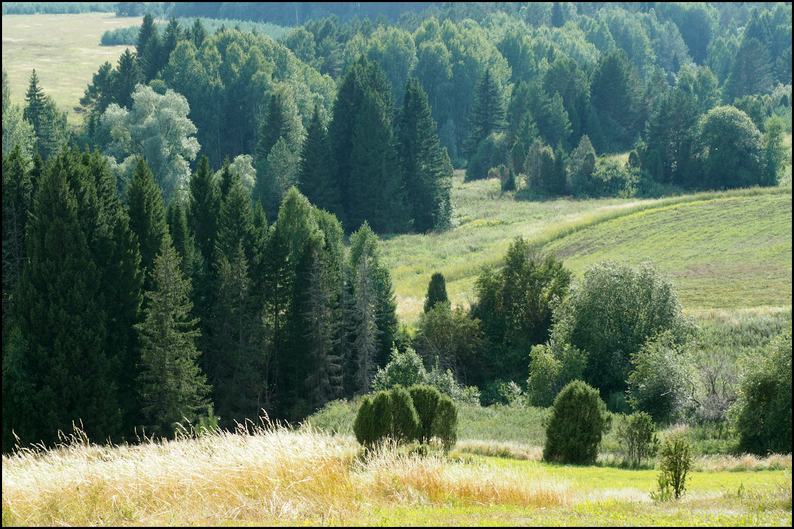 пейзаж без неба