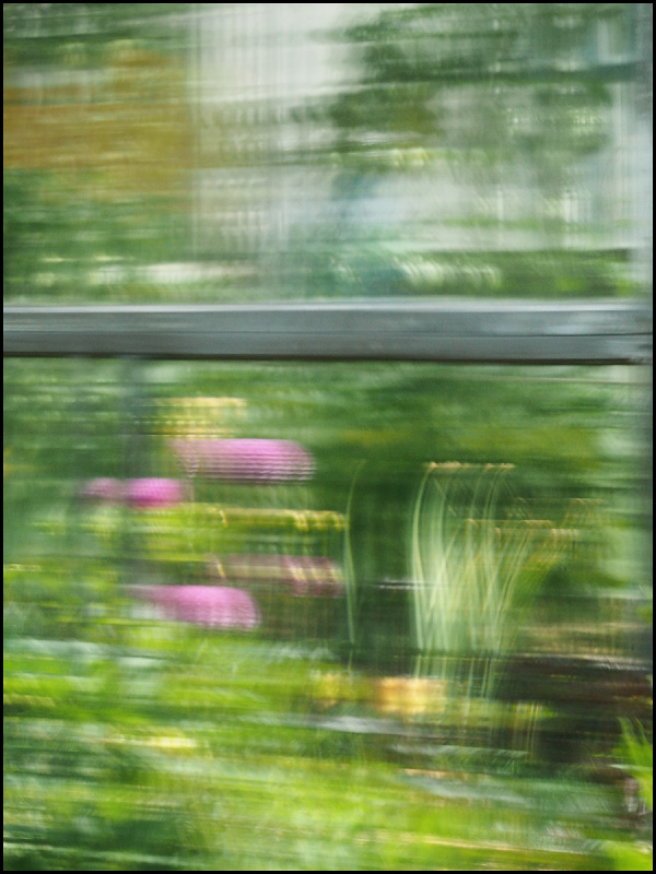 Ветер не в голове