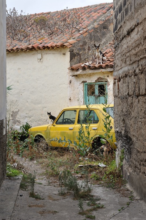 двойной портрет