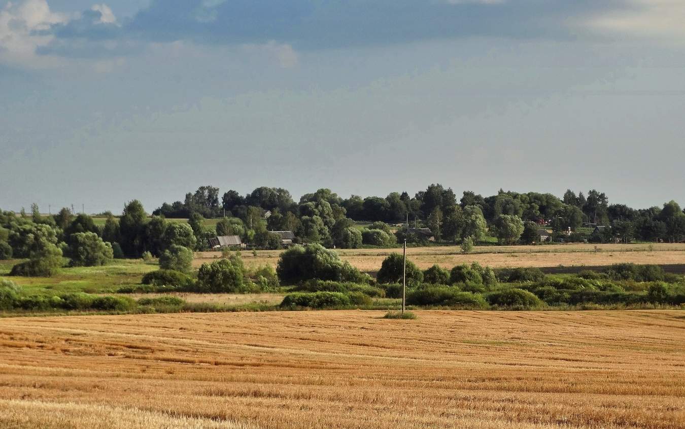 Тихо перед грозой