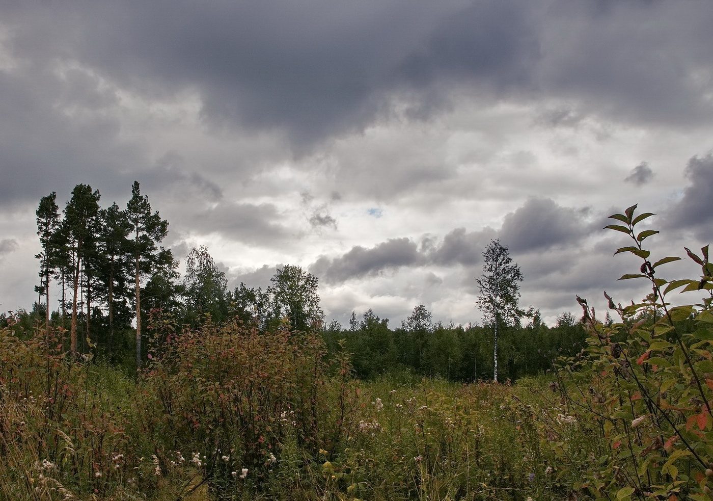 Перед ненастьем