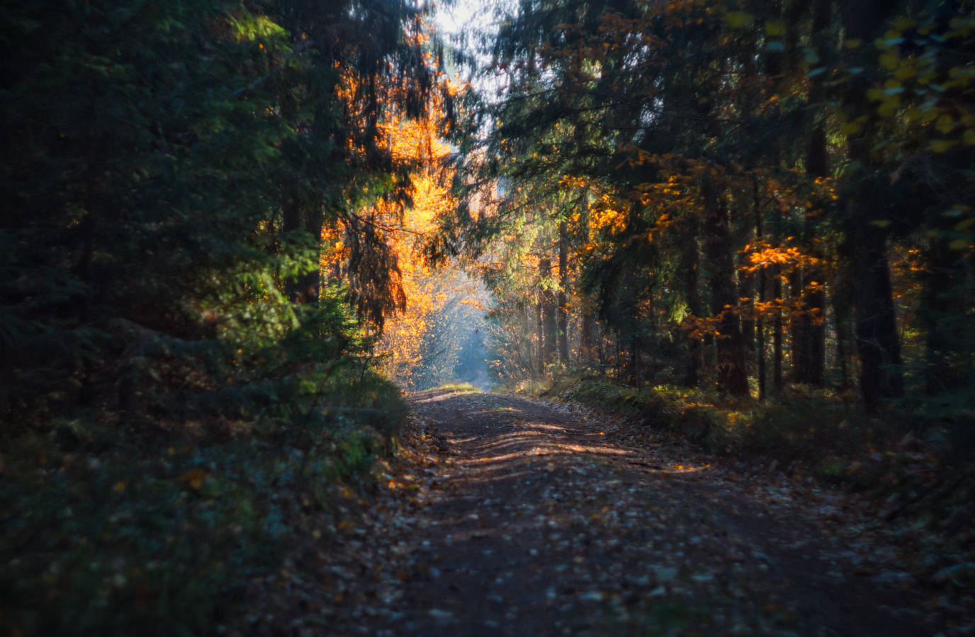 Фрагмент осени#2