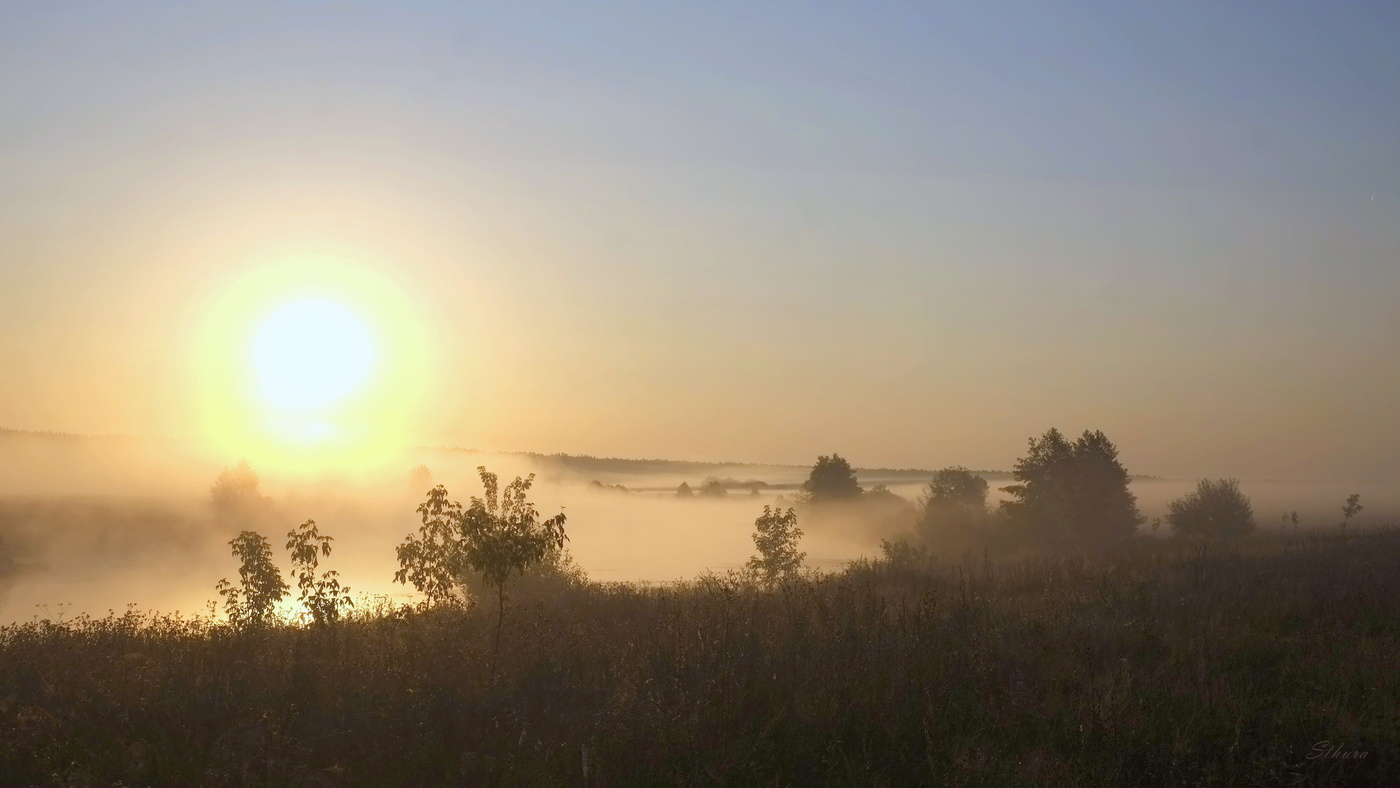 Туманное утро августа.