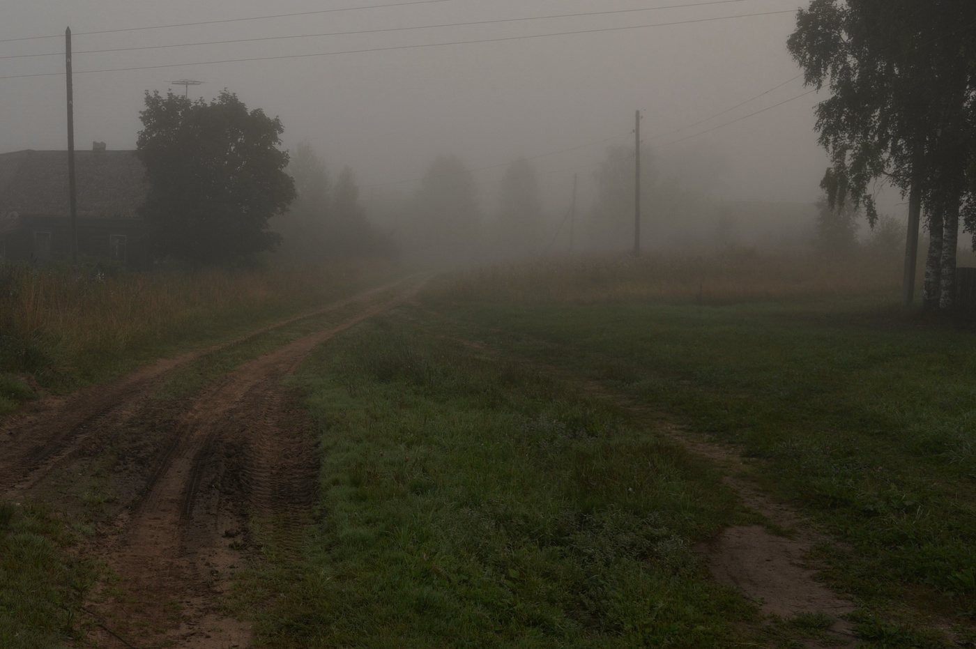"Не в первый раз кричит петух ..."