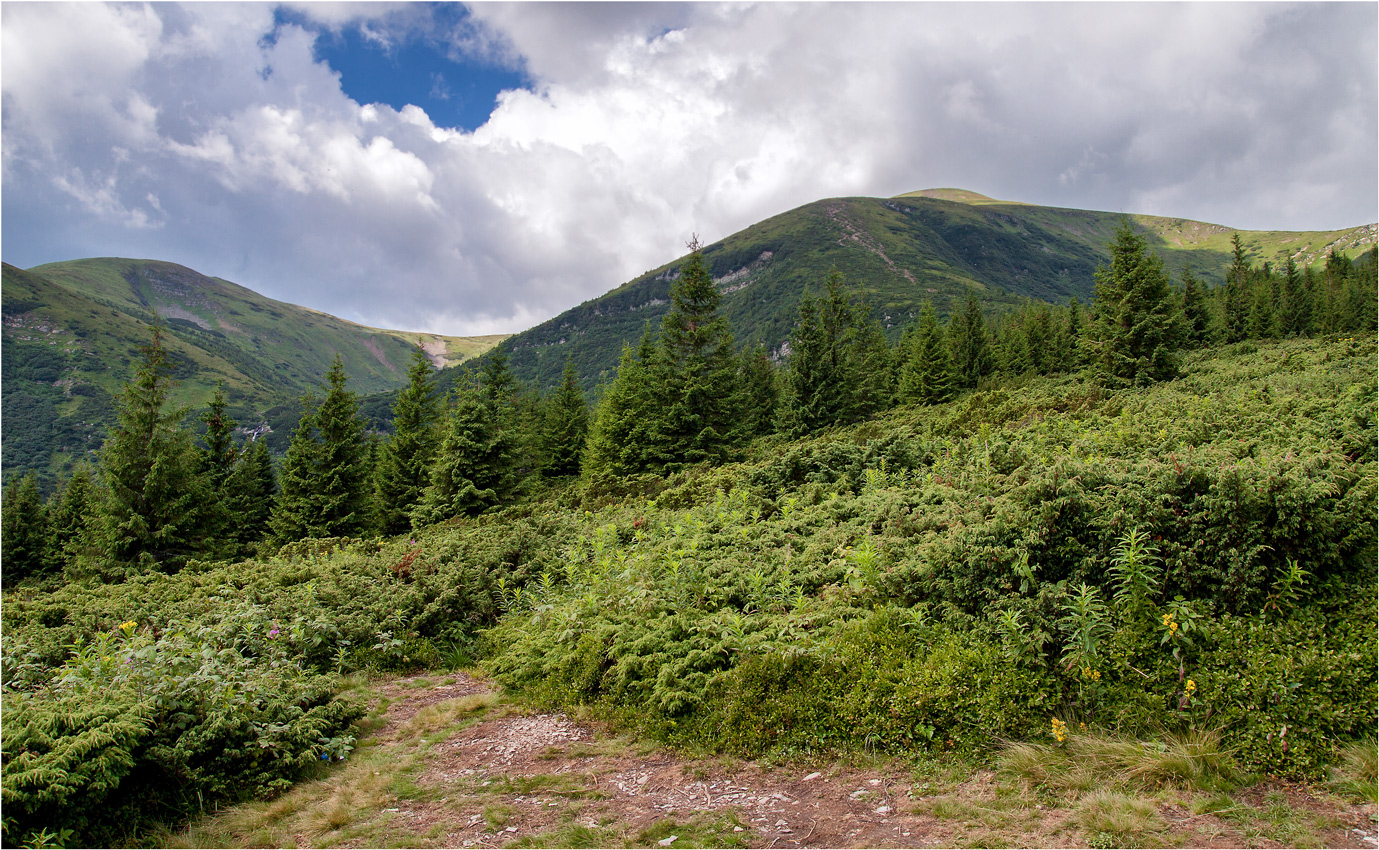 Карпатские горы