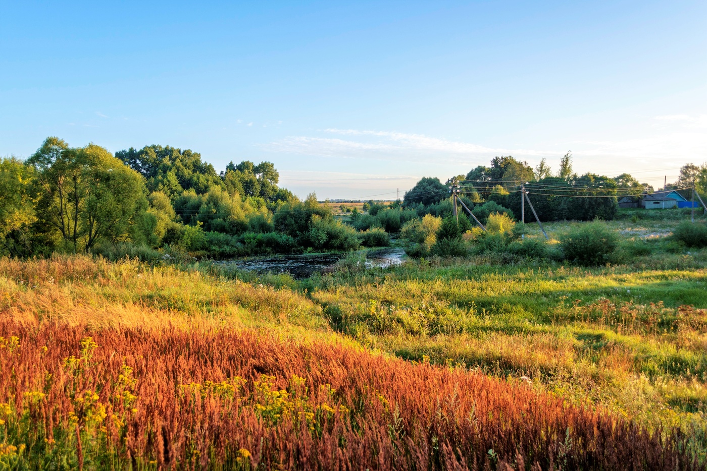 Река Воронуса.