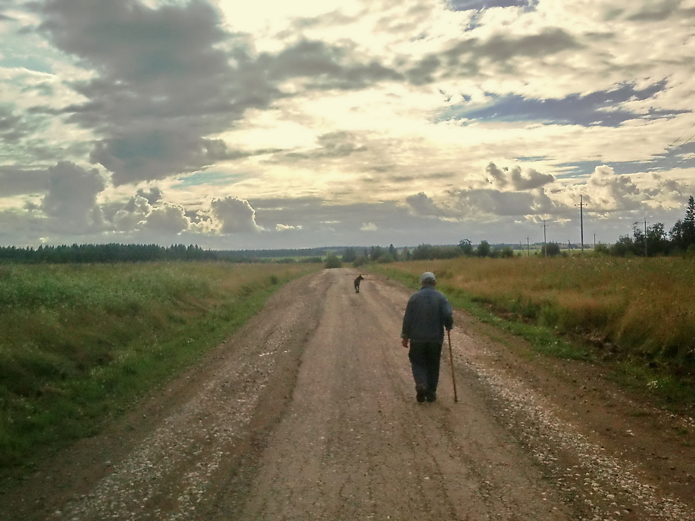 Старик и собака.